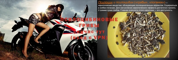экстази Каменка