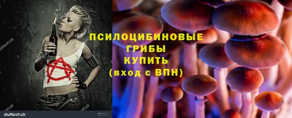 мет Каменногорск