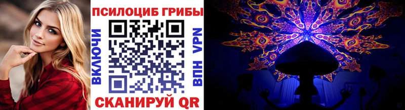 Купить где  Болхов  Псилоцибиновые грибы прущие грибы 