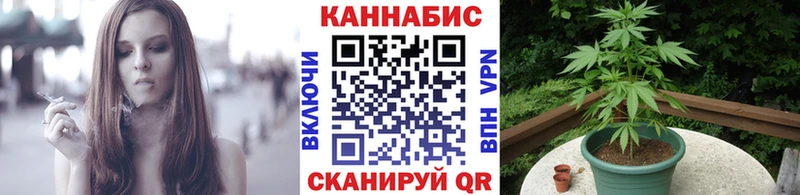 Бошки Шишки план  Купить  Болхов 